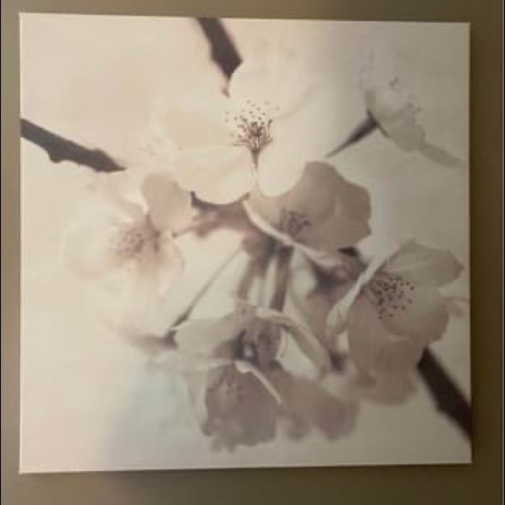 Canvas prints